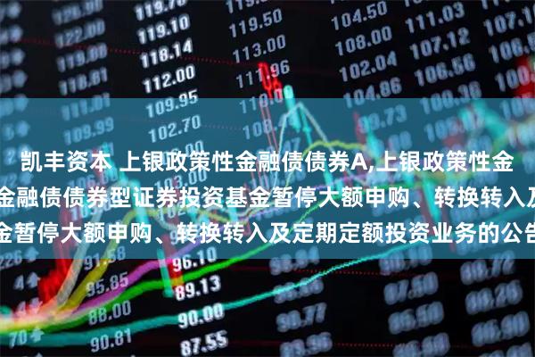 凯丰资本 上银政策性金融债债券A,上银政策性金融债债券C: 上银政策性金融债债券型证券投资基金暂停大额申购、转换转入及定期定额投资业务的公告