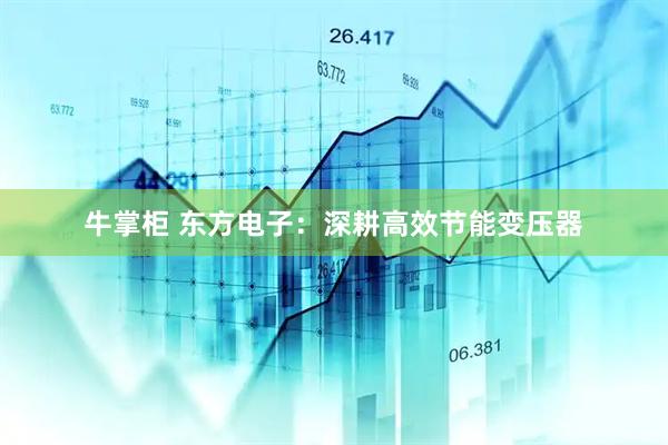 牛掌柜 东方电子：深耕高效节能变压器