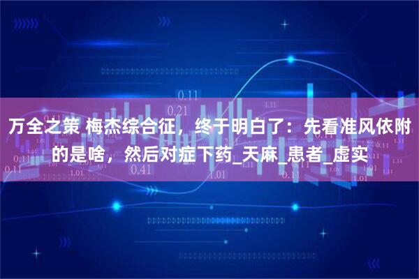 万全之策 梅杰综合征，终于明白了：先看准风依附的是啥，然后对症下药_天麻_患者_虚实